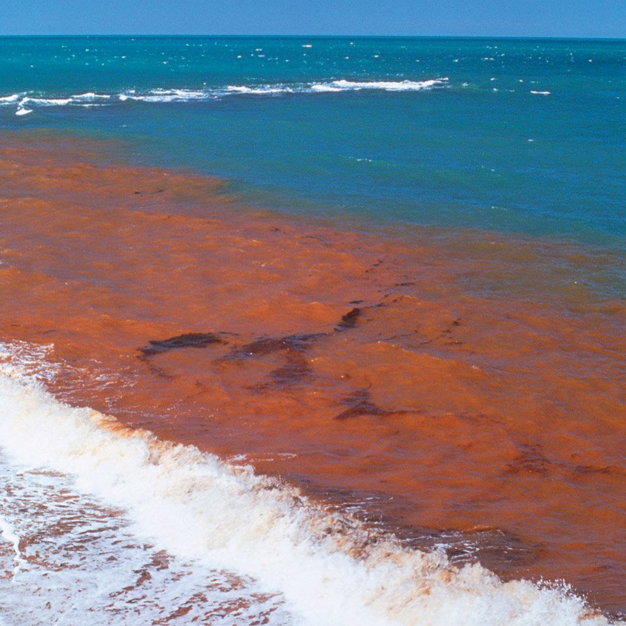 Big Blob Of Red Doom Seen Off The Coast Of Southwest Florida