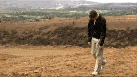 charlie-brown-walk-gif1