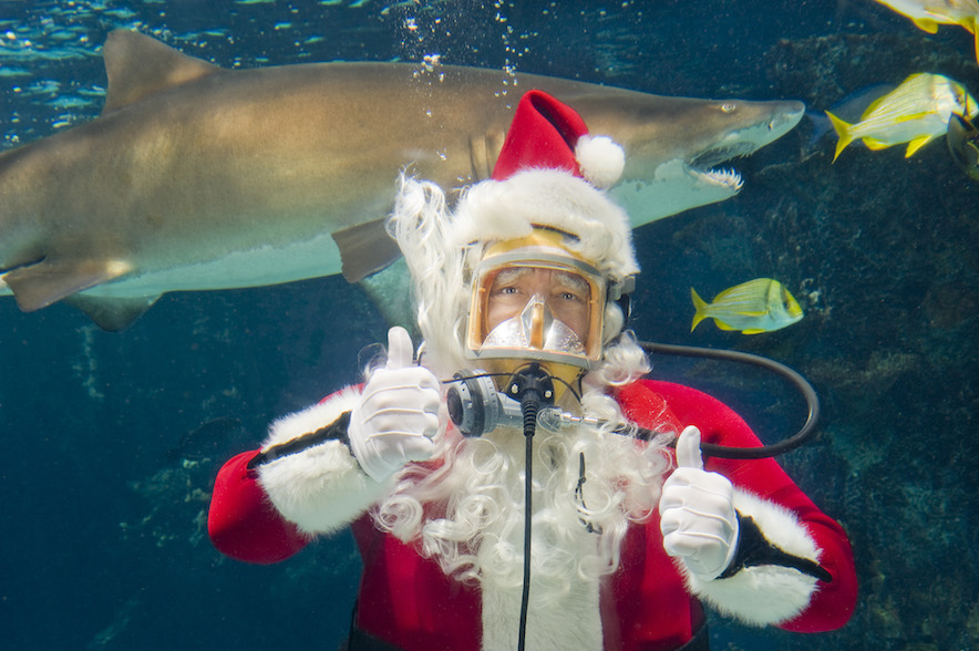 Scuba Santa