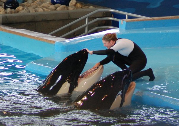 bridgette-pirtle-at-seaworld-texas