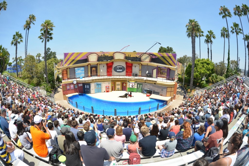 An at capacity Sea Lion Show at SeaWorld San Diego