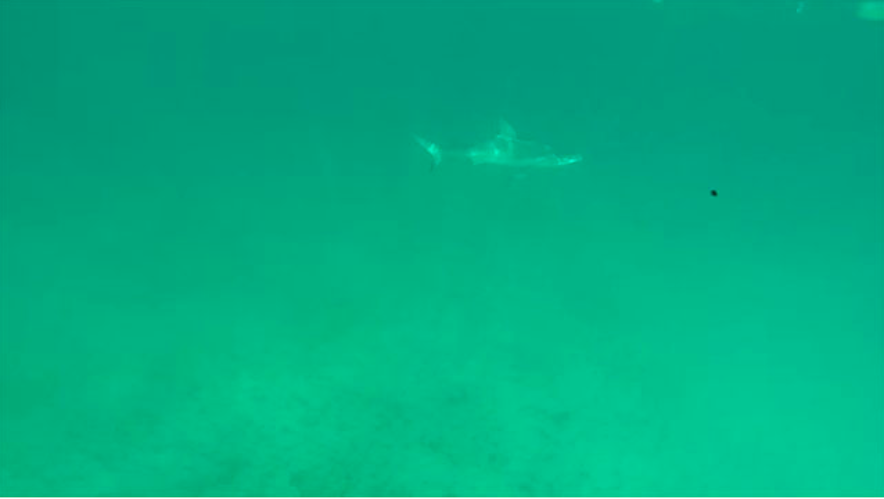 Screen Shot 2015-01-19 at 3.29.15 PM