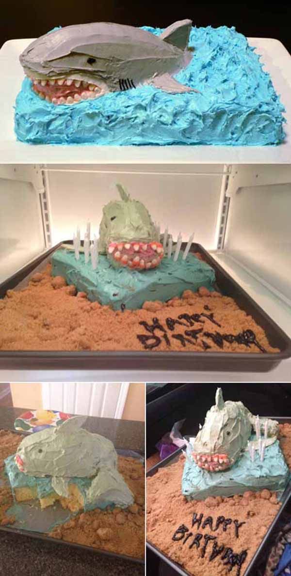 sharkcake2