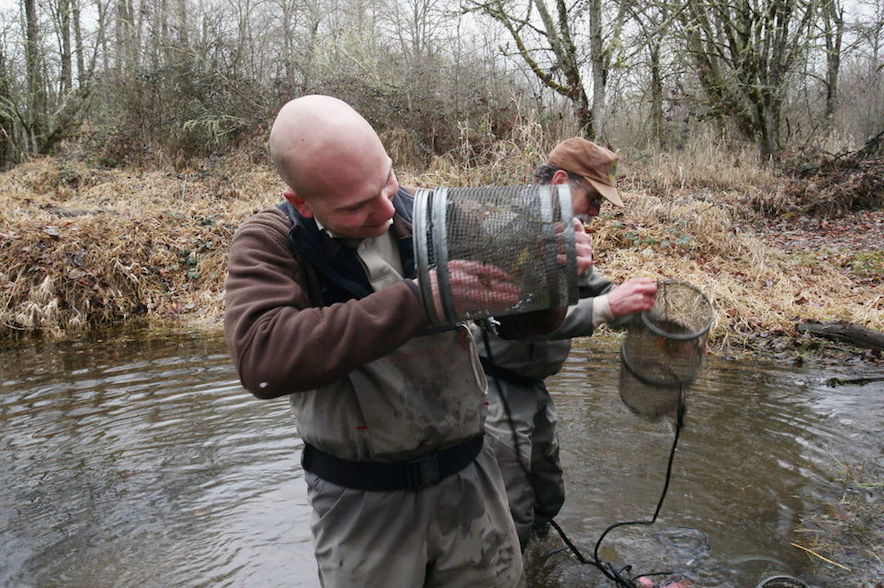oregon-chub-leaves-endangered-species-list-afc45bdb63c3d902