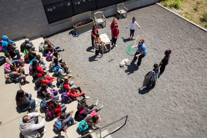 Marine Mammal Center in Marin County, California. Corey Arnold for TIME.