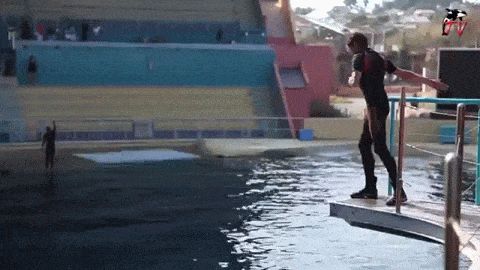 Valentin interacting with his trainer at Marineland Antibes