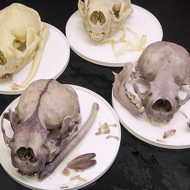 tumblr_nmuscqGl7w1r8vrhxo1_1280