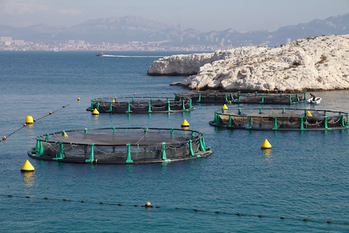 Aquaculture