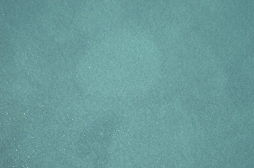 dugong drone spotting photo 1