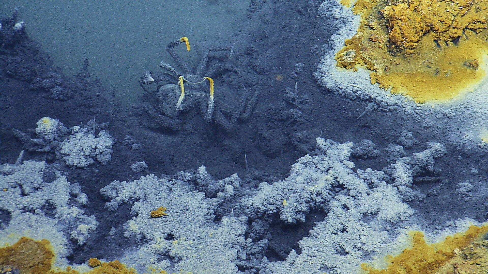 jacuzzi of death nautilus