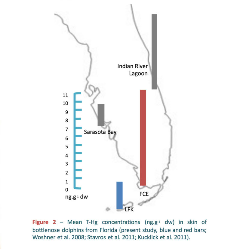 Researchers Recorded The Highest Mercury Levels Ever...