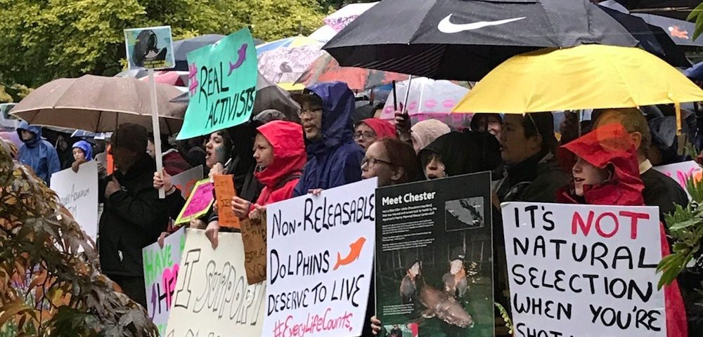Vancouver Park Board Officially Passes Bylaw And It's A Death Sentence ...
