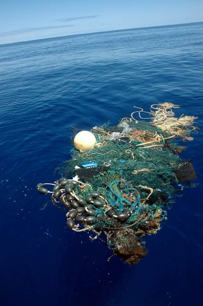 garbage patch
