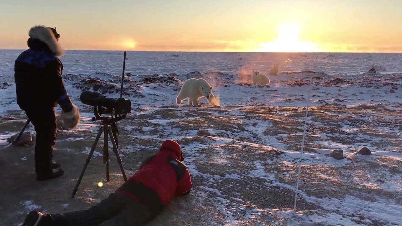 arctic tourists