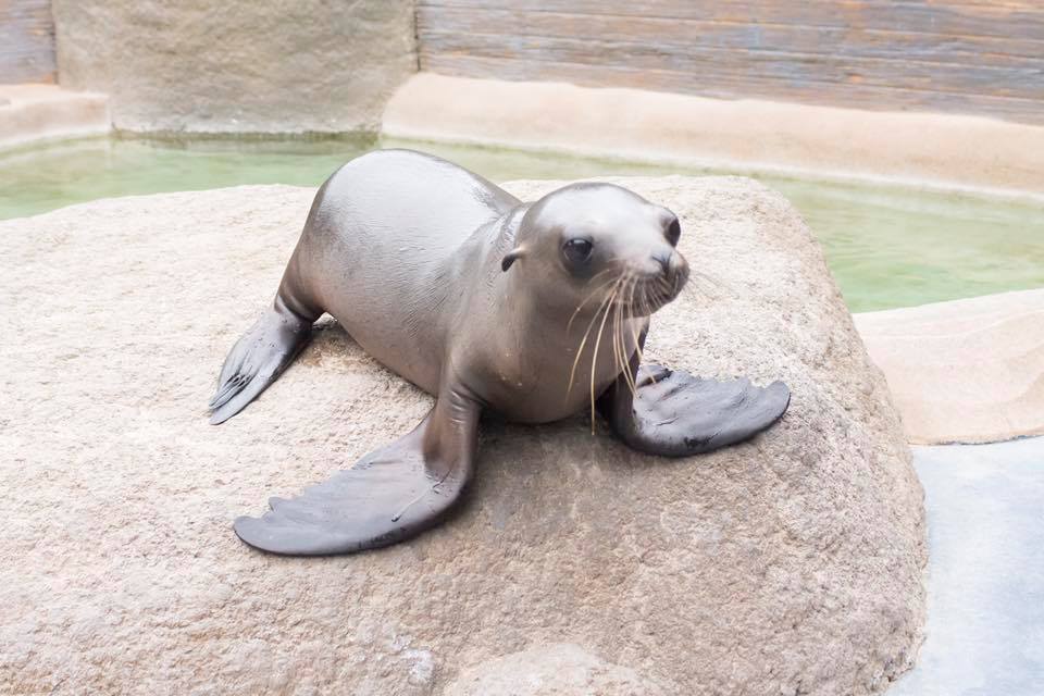 Wildlife World Zoo