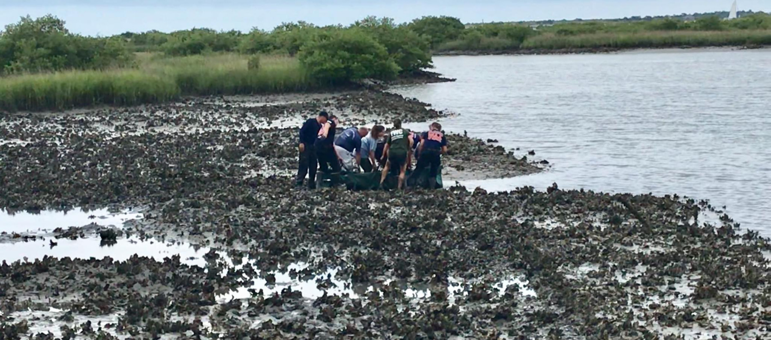 St. Augustine Manatee Rescue