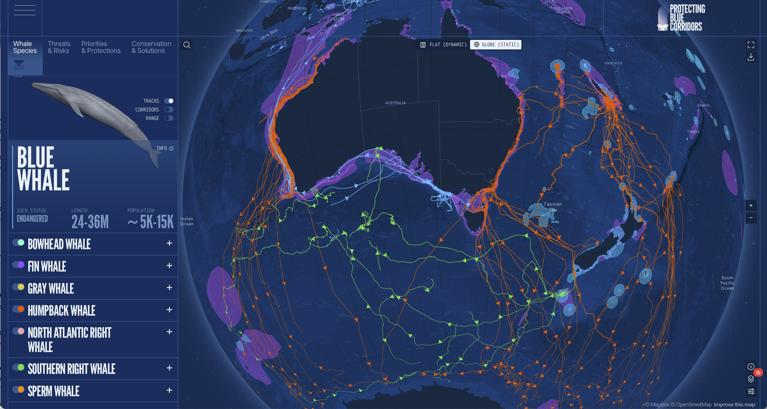 For the First Time, You Can See the Ocean’s Whale Superhighways — And So Can the People Trying to Protect Them