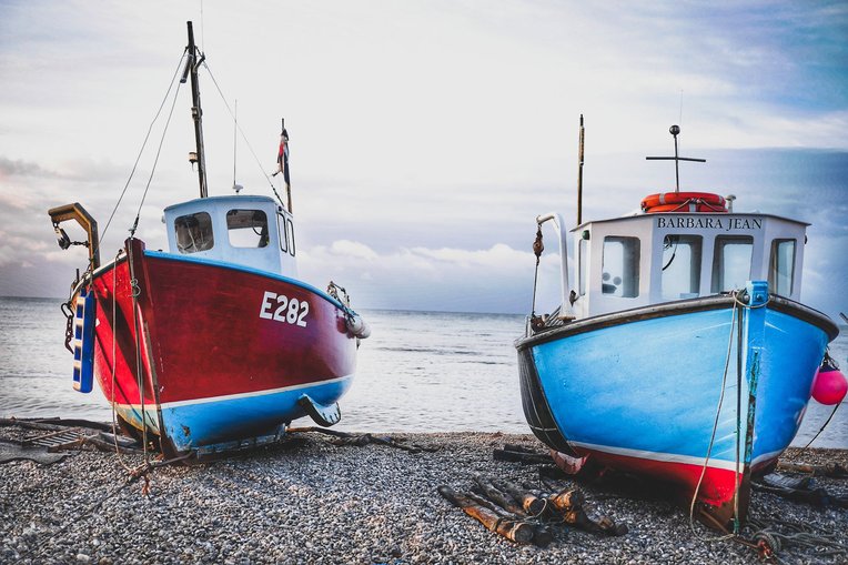 Your Fish and Chips Might Be About to Change — Here’s the Good News Behind It